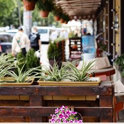 Best Outdoor Patios in Oshawa 