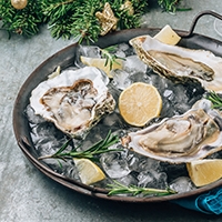 Best Oyster Restaurants in Toronto, Ontario