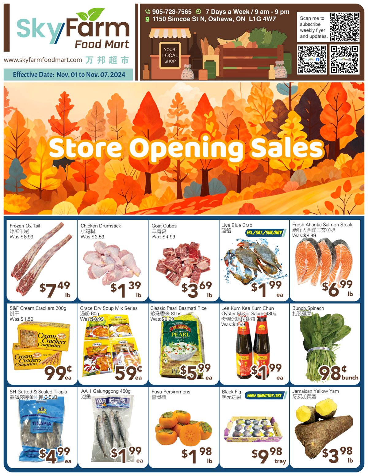 SkyFarm Food Mart Oshawa Weekly Flyer | November 1-7, 2024 photo 1