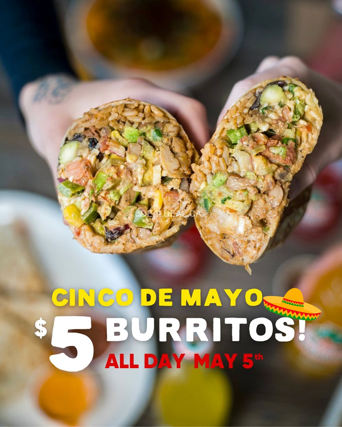 Celebrate Cinco de Mayo at Fresh Burrito with a burrito for only $5 all day long! photo 1