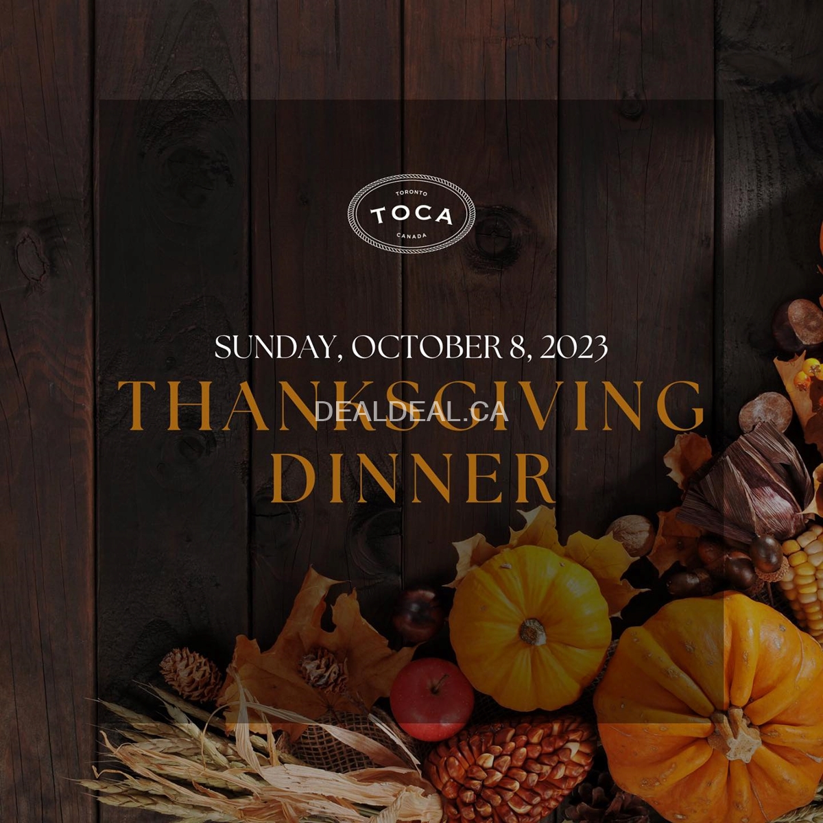 Thanksgiving Dinner at TOCA photo 1