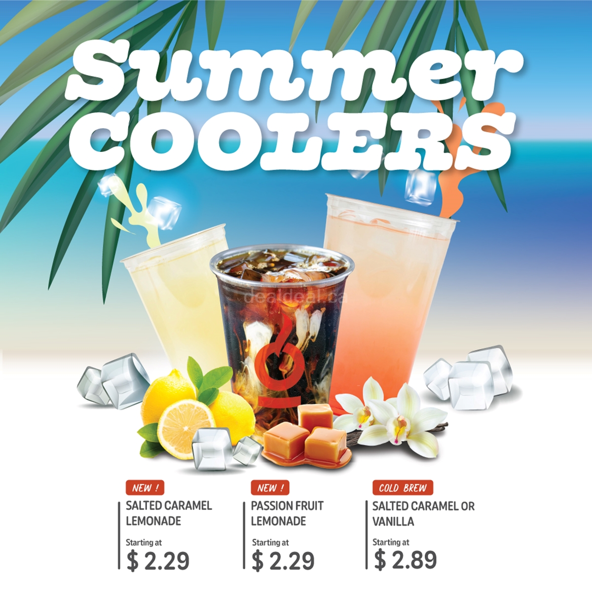 Summer Coolers at Coffee Time photo 1