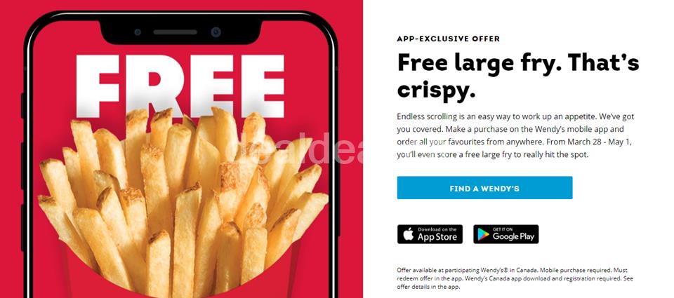 Free large fry at Wendys photo 1