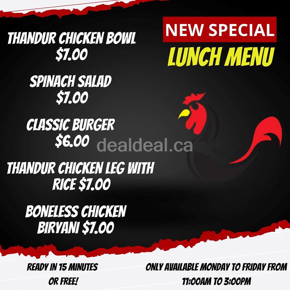 Lunch Special at The Thandur Restaurant photo 1
