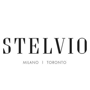STELVIO logo