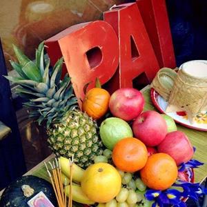 PAI logo