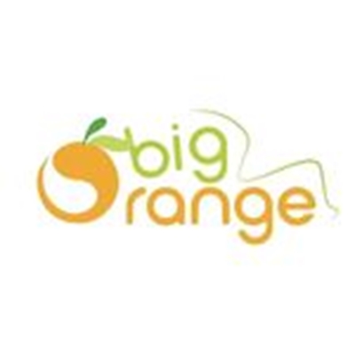 Big Orange logo