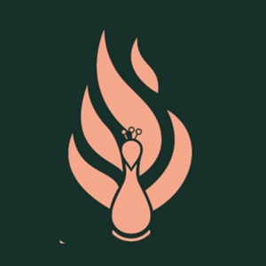 Karahi Point Ajax logo