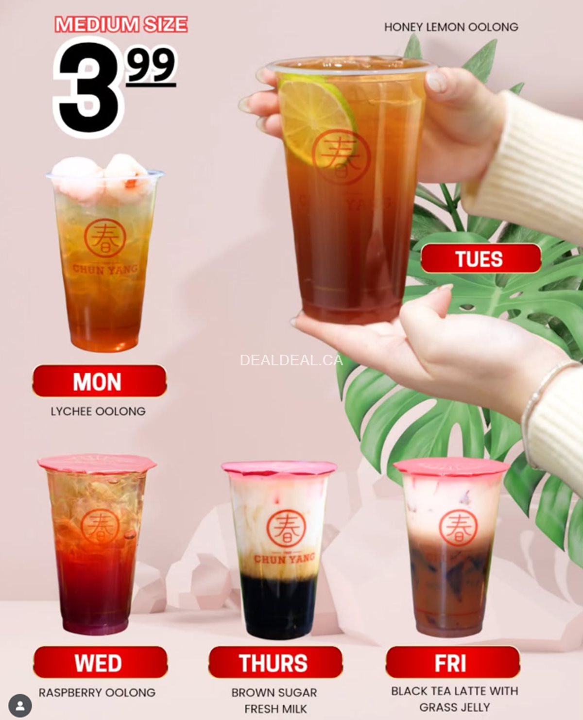 Chun Yang Tea Weekly Special – Medium Drinks Only $3.99 Each Day