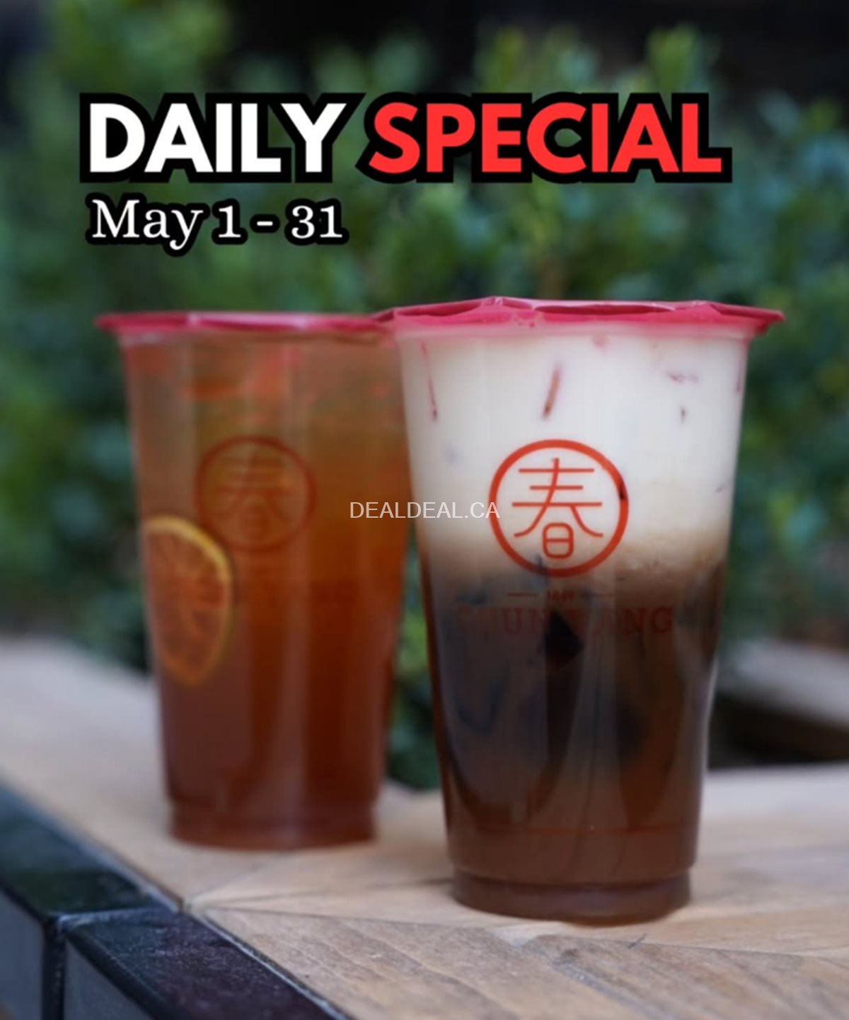Daily Specials at Chun Yang Tea toronto
