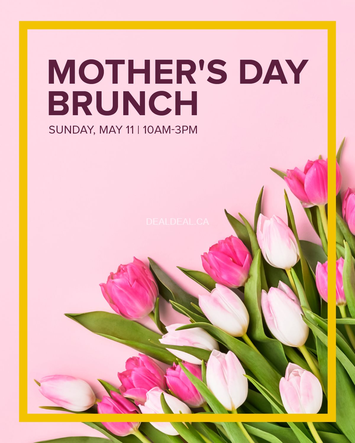 Mother's Day Brunch at Luma