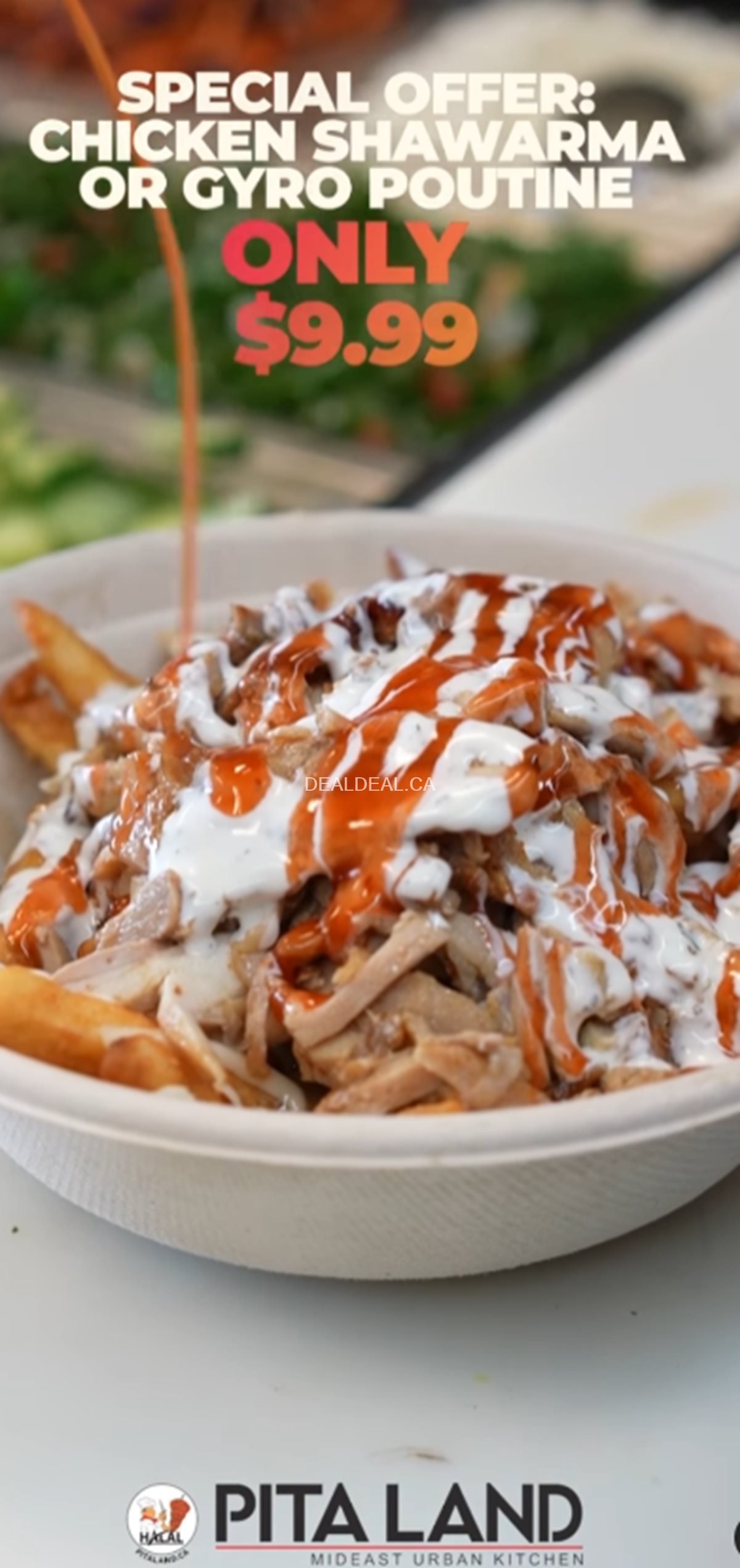National Poutine Day deal at Pita Land