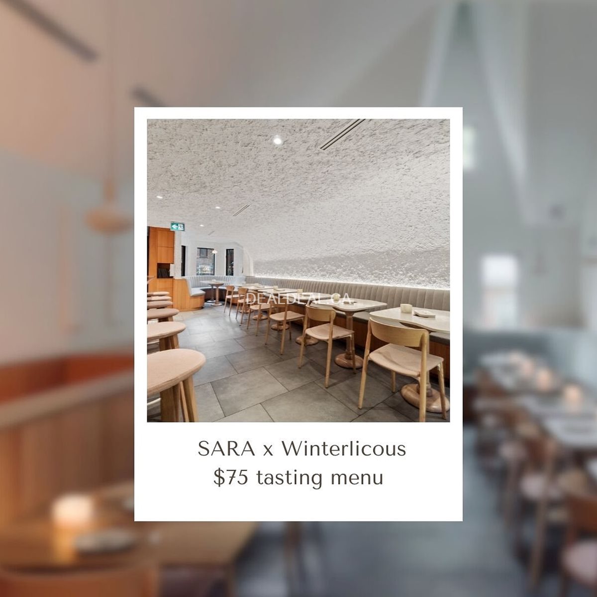 Winterlicious 2024 $75 at Sara Restaurant image 1