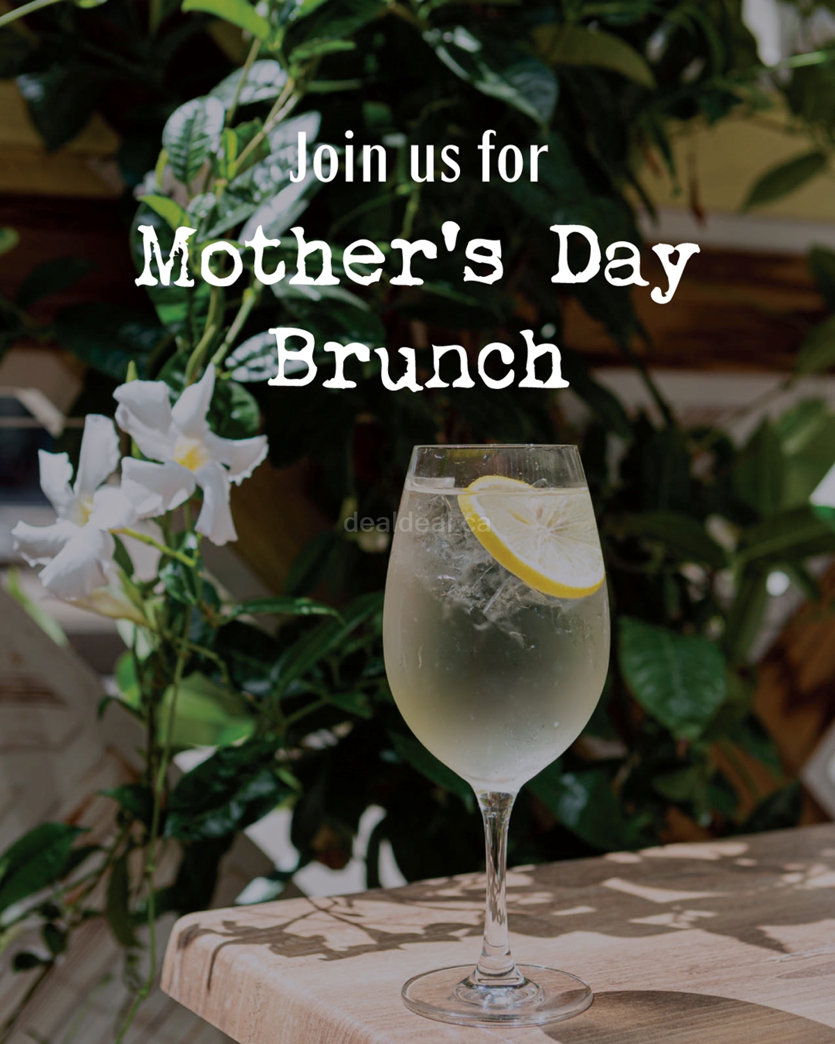 Celebrate Mother's day with a special brunch at Jump Restaurant image 1