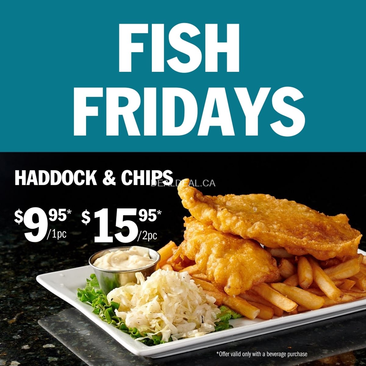 Fridays: Fish & Chips $9.95 – Symposium Cafe Brantford