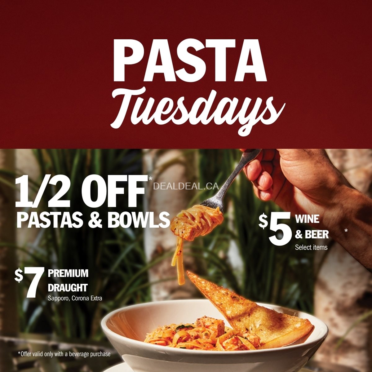 Tuesdays: 1/2 Price Pastas & Bowls – Symposium Cafe Restaurant Brantford