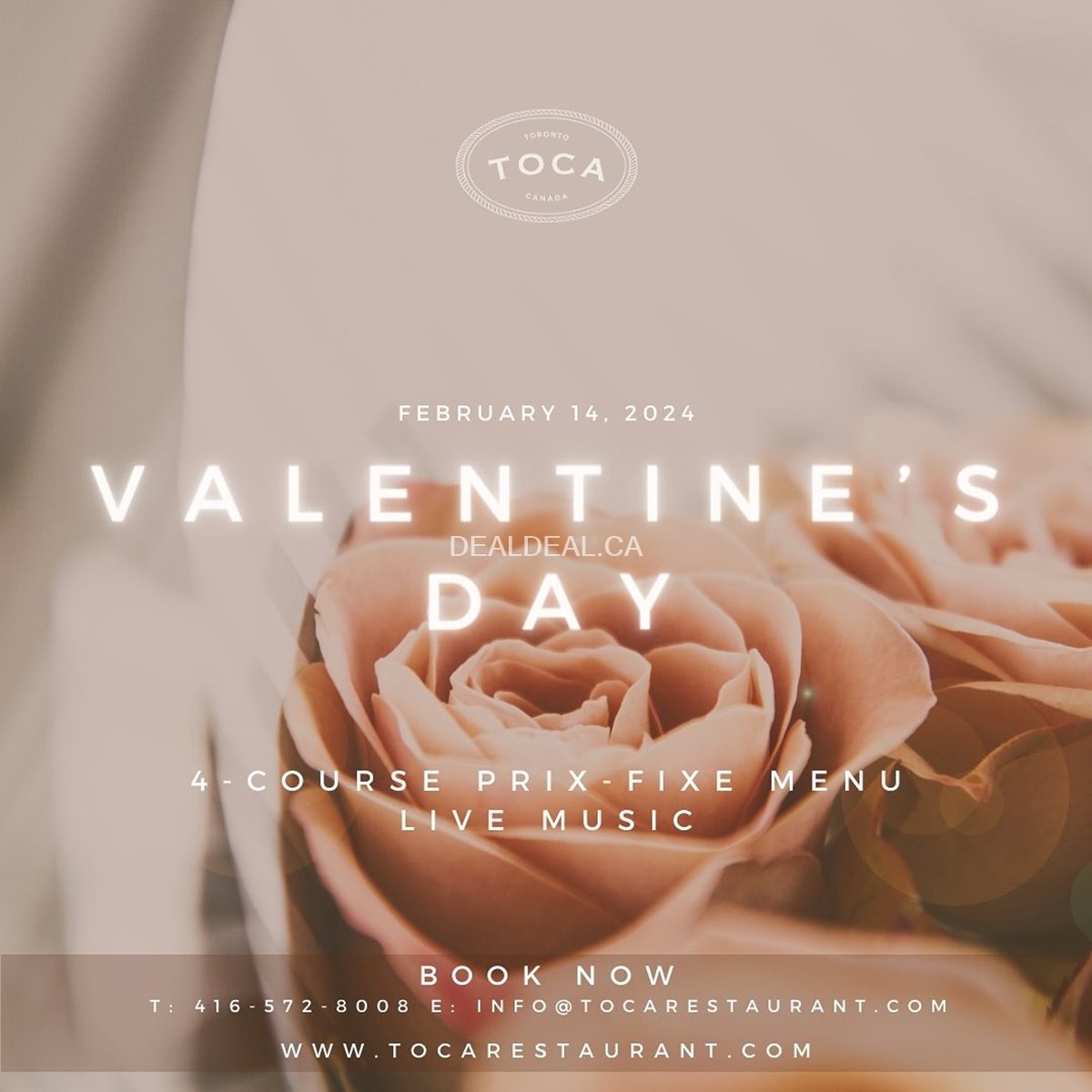 Valentine's Day 4-course prix-fixe menu at TOCA image 1