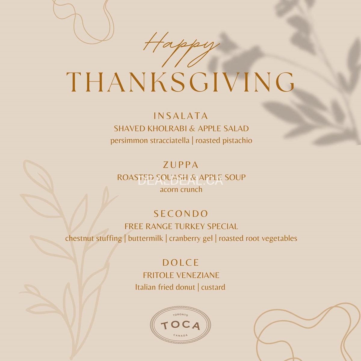 Thanksgiving Dinner at TOCA image 2